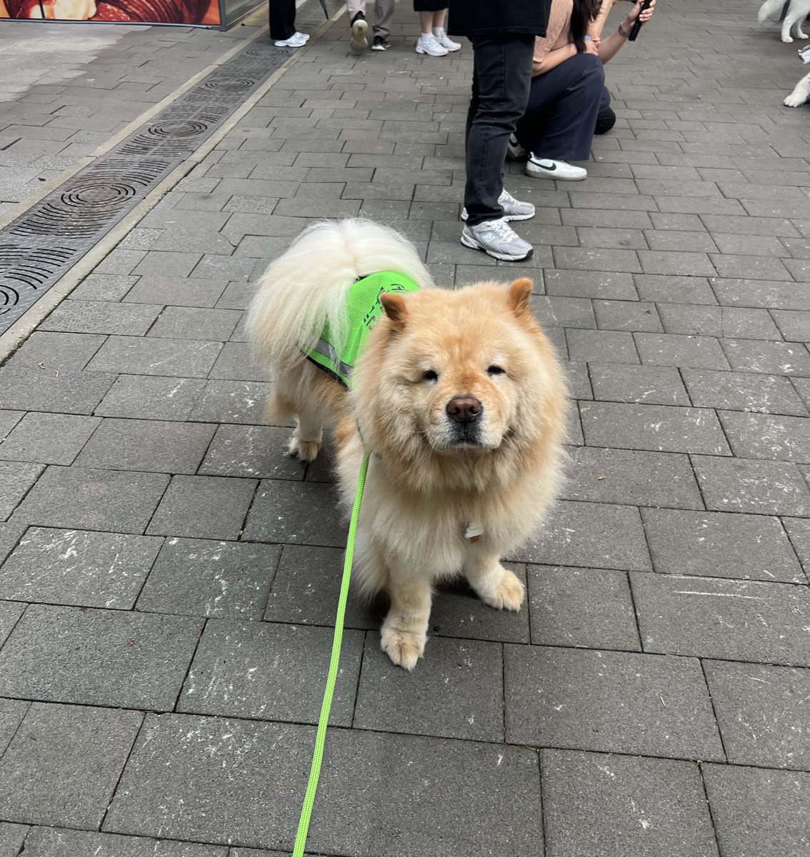 꽤나 진지하게 발대식에 임하는 가나디
