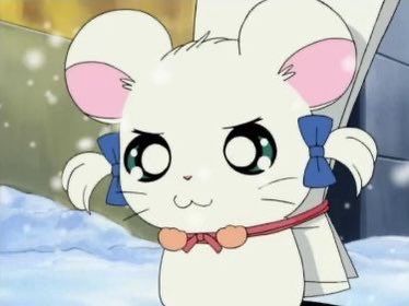 cdoll's tweet photo. she’s literally me https://t.co/uWr11d0BBn