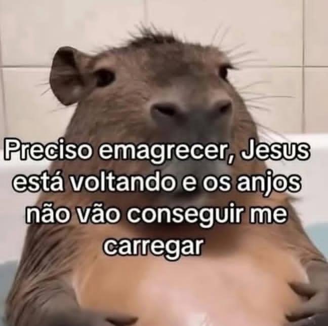 Nazaré Amarga (@nazareamarga) on Twitter photo 