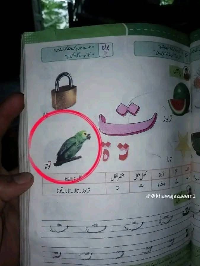 اس نفسا نفسی کے دور میں طوطا گریڈ۔ ط سے ترقی کرنے کے بعد گریڈ ت تک آگیا ہے 😀😀