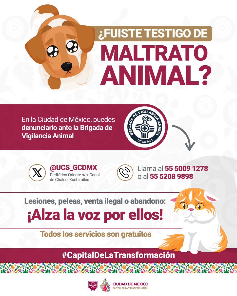 🐾 Si ves a un animal herido, abandonado o siendo maltratado, no te quedes callad@.

En la #CapitalDeLaTransformación contamos con la Brigada de Vigilancia Animal de la <a href="/SSC_CDMX/">SSC CDMX</a> para actuar con responsabilidad y empatía. 🙌🐶🐱