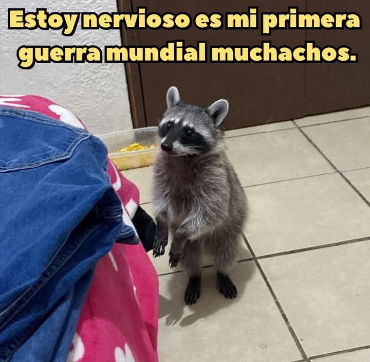 Angie Cinnamon tweet media