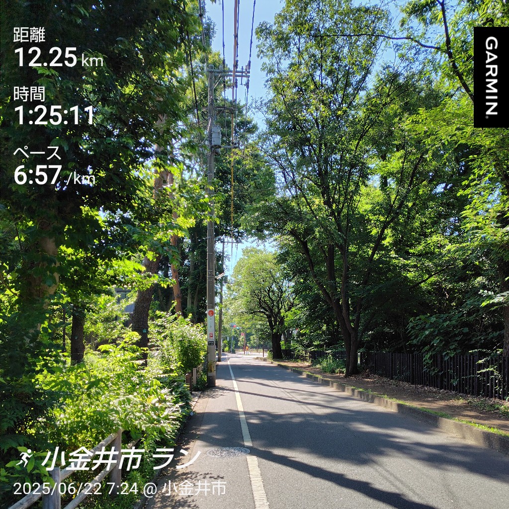 今朝は玉川上水沿いをラン！
帰りは中央線沿いを〜。