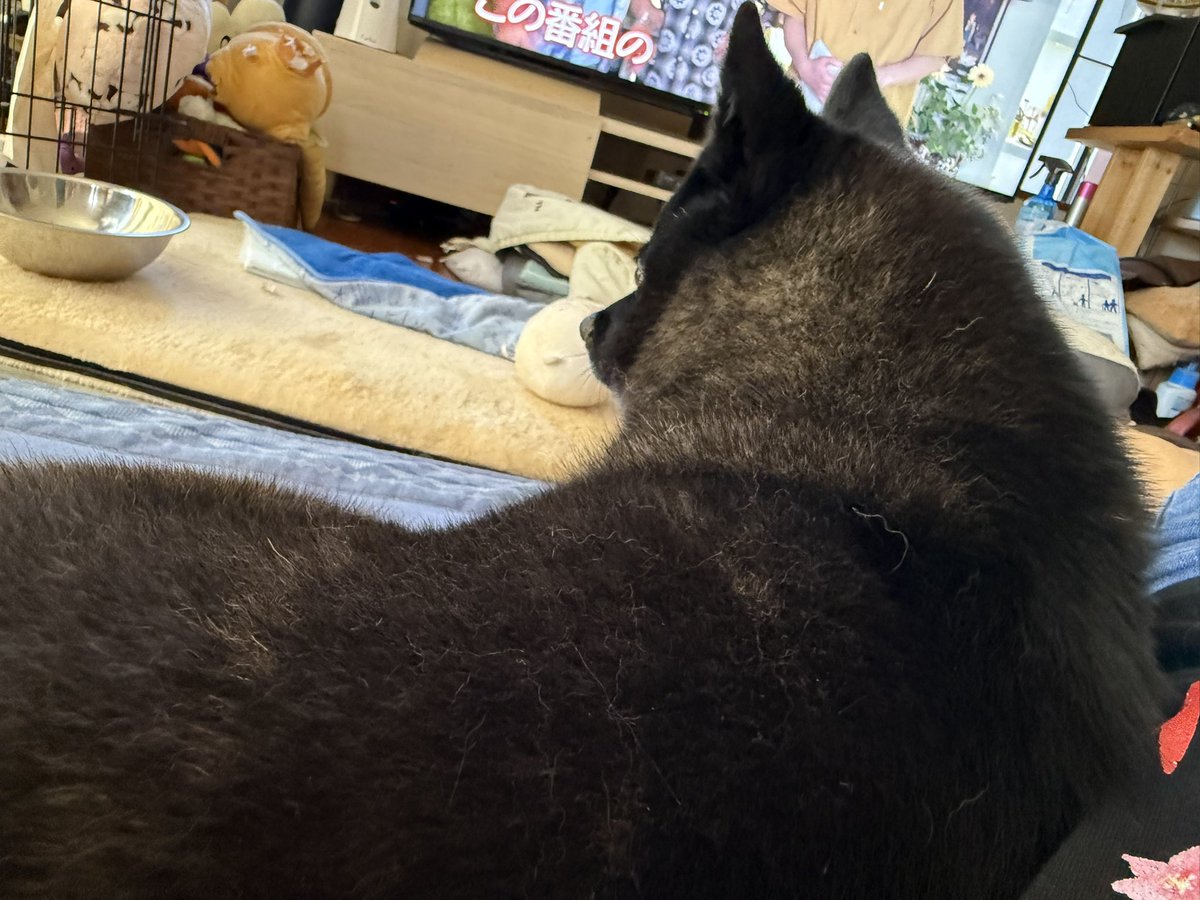 近い😂

いつも近くにいるね💕︎