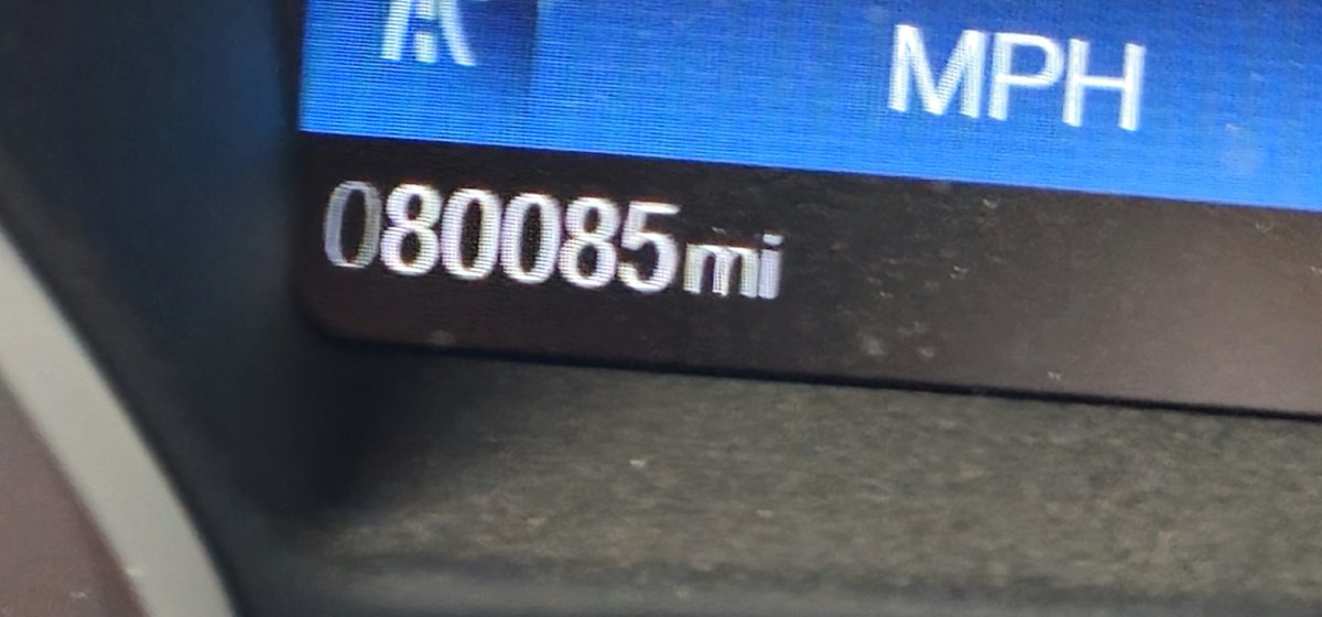 hehehe BOOBS

My furry trash mobile hit a milestone today
🔥🔥🔥