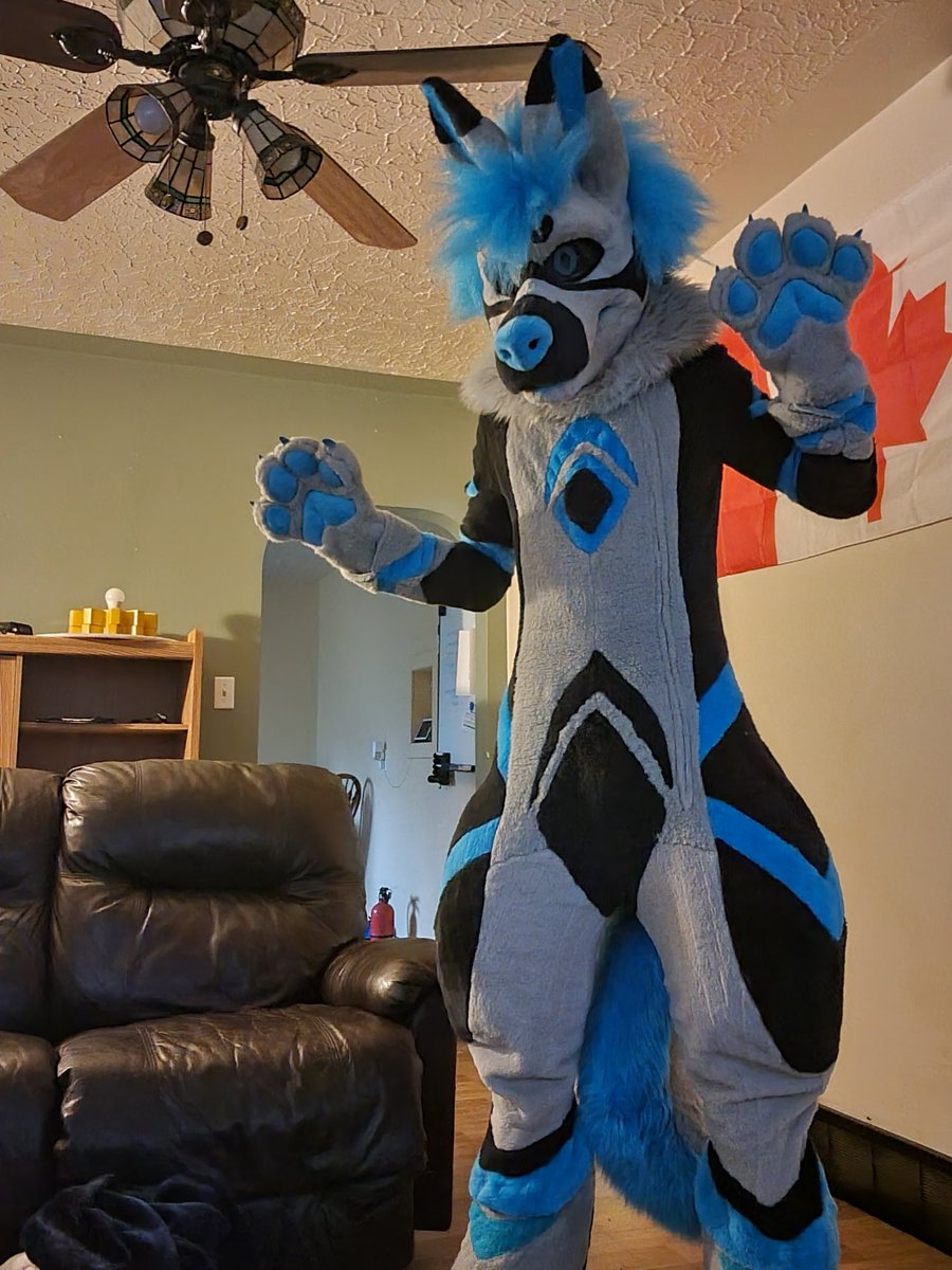 Halon332's tweet image. FURSUIT