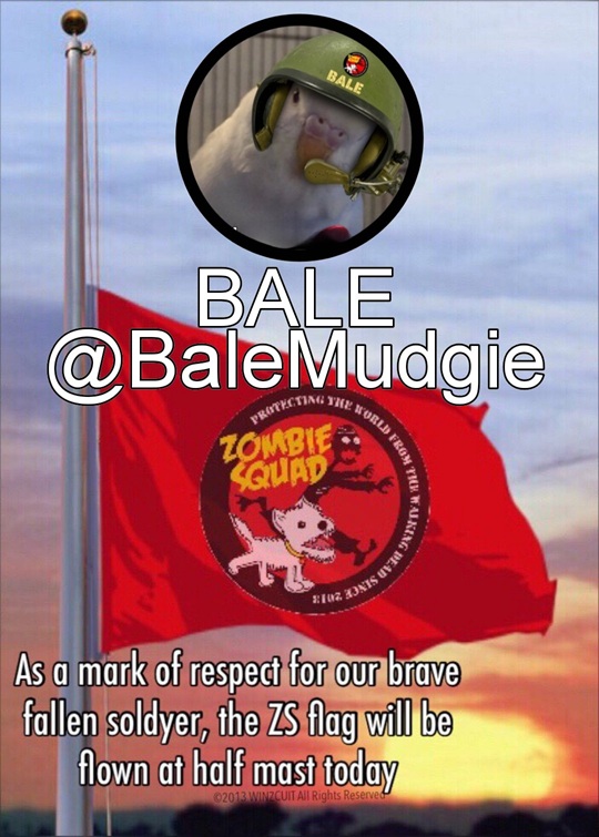 ZombieSquadHQ💖💚🧡💚🩵© (@zombiesquadhq) on Twitter photo 💔HQ sadly lowers our flag for Corporal Bale <a href="/BaleMudgie/">Bale Mudgie #RIPPuk</a>, who has suddenly crossed to be reunited with his immortal friends in the #ZSHQ #OTRB Brigade . Please dedicate your next patrol to Bale & hold his MOM, family & friends in your thoughts. <a href="/ZombieSquadHQ/">ZombieSquadHQ💖💚🧡💚🩵©</a> FOREVER 💔HQ sadly lowers our flag for Corporal Bale <a href="/BaleMudgie/">Bale Mudgie #RIPPuk</a>, who has suddenly crossed to be reunited with his immortal friends in the #ZSHQ #OTRB Brigade . Please dedicate your next patrol to Bale & hold his MOM, family & friends in your thoughts. <a href="/ZombieSquadHQ/">ZombieSquadHQ💖💚🧡💚🩵©</a> FOREVER