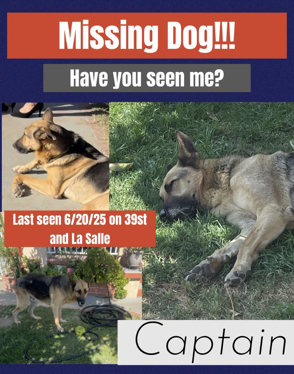 tiny_424's tweet image. Captain gone too someone open the gate 😩