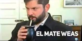La Ró Bot🌷 tweet media