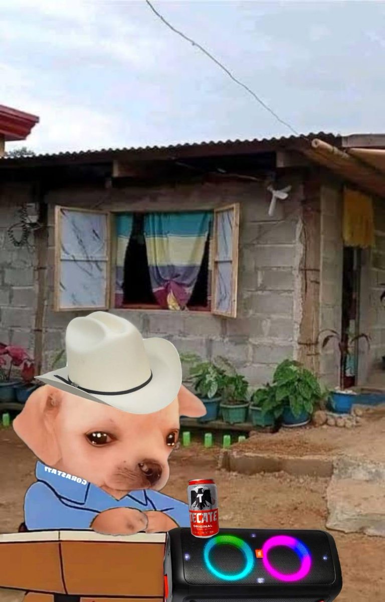 Ya comenzó la Tercera Guerra Mundial y yo nunca fui amade