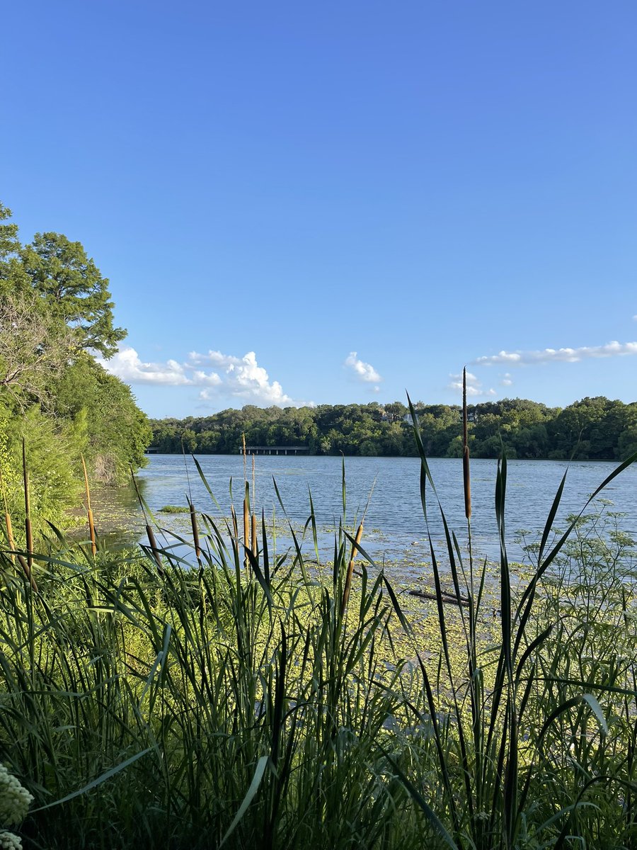 “Have I not commanded you? Be strong and courageous. Do not be afraid; do not be discouraged, for the Lord your God will be with you wherever you go.”

-Joshua 1:9 🙏