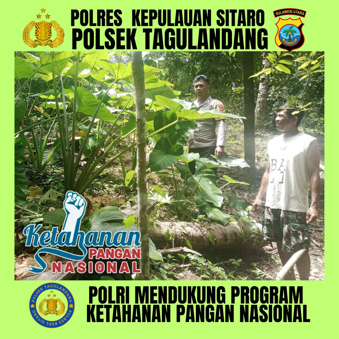 putrayws's tweet image. POLSEK TAGULANDANG POLRES KEPL SITARO MENDUKUNG PROGRAM KETAHANAN PANGAN
#astacita
#swasembadapangan
#ketahananpangan
#polirimendukungketahananpangan
#polisicintapetani
#swasembadapanganpoldasulut
#ketahananpanganpoldasulut
#ketahananpanganpolreskepulauansitaro
#poldasulut
#sulut