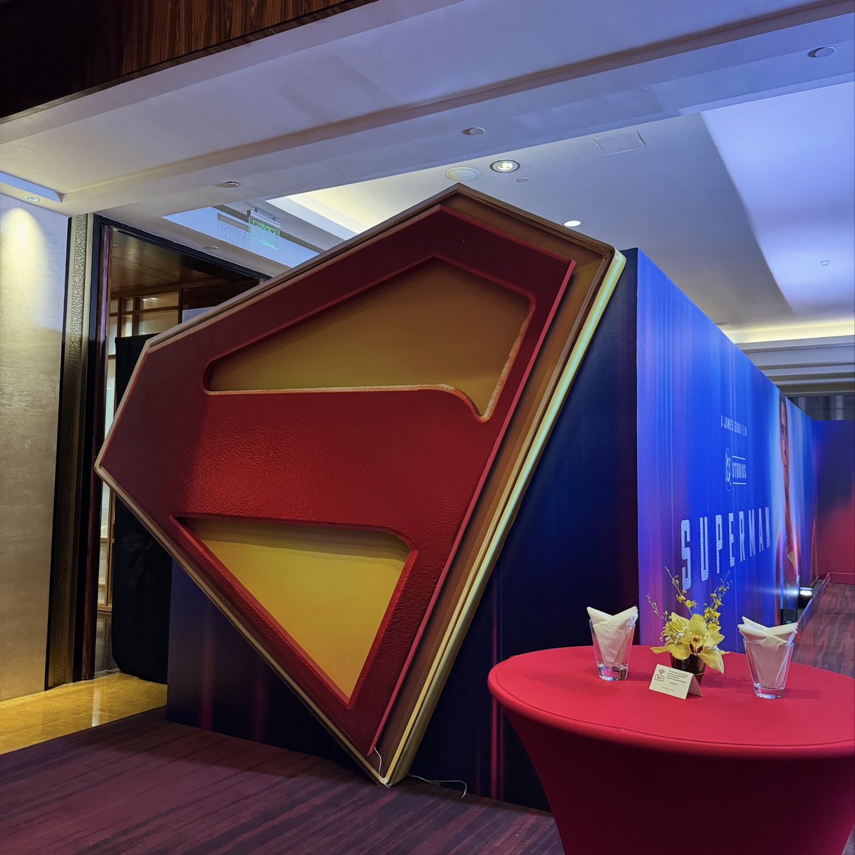 cinestheticph's tweet photo. One of the lucky ones who got to attend the red carpet fan event and catch an early preview of the new SUPERMAN movie!

#SupermanPH #LookUpManila https://t.co/GJMXAnjfib