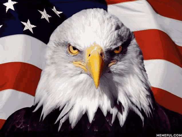 TomWillisWV's tweet image. Iran will not have nuclear weapons. Under the Ayatollahs, a nuclear Iran is a danger to the entire world. I salute the decisive action by President Trump. When a country has threatened our nation repeatedly with destruction, as Iran has, we have the right to defend ourselves.