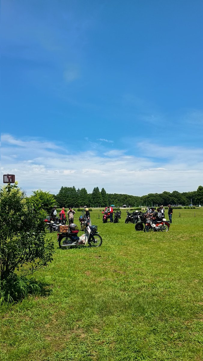 皆さん大分帰られたので、私ものんびり帰る事にします
暑い中お疲れ様でした😀
#スーパーカブ
#秋ヶ瀬カブモーニング
#秋ヶ瀬公園