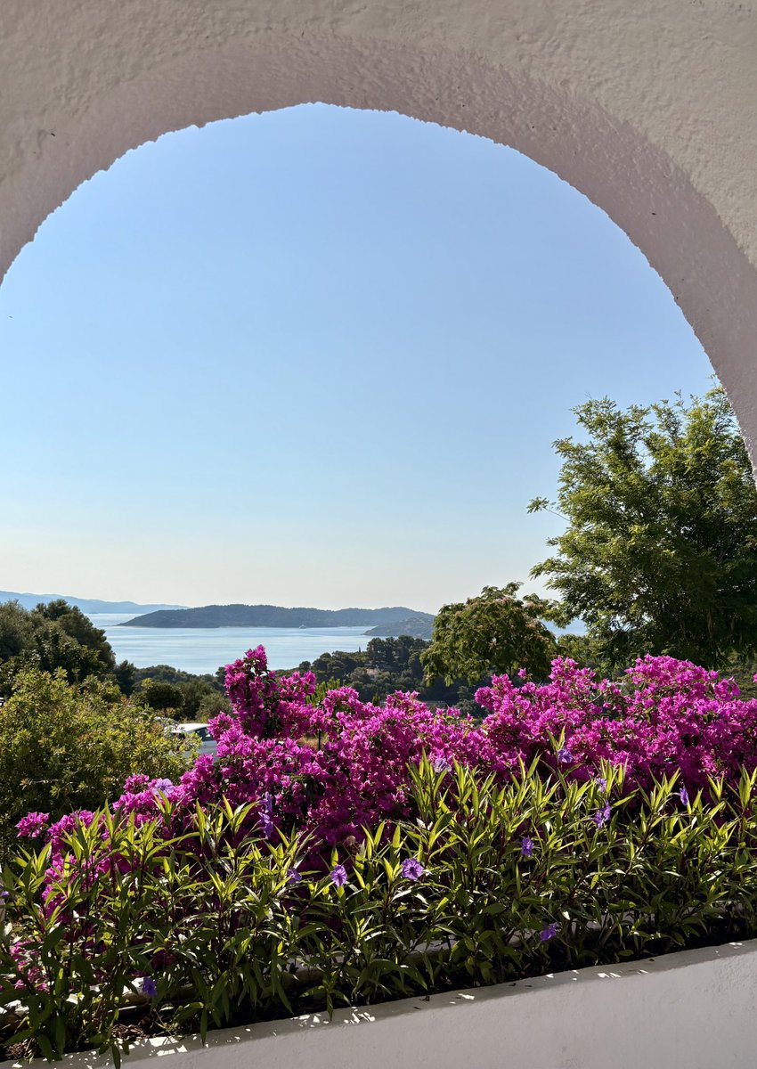 Diane Mason🧚 tweet media