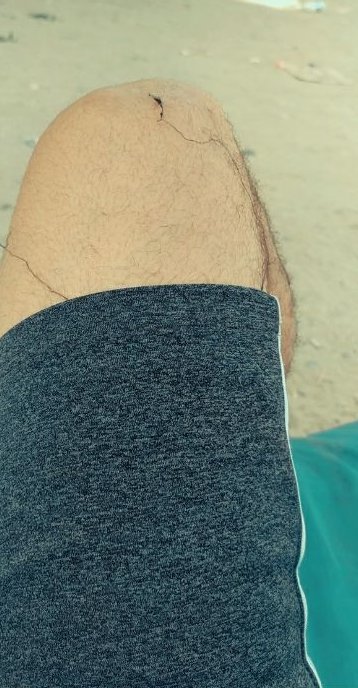 حمى جو لبس برمودات