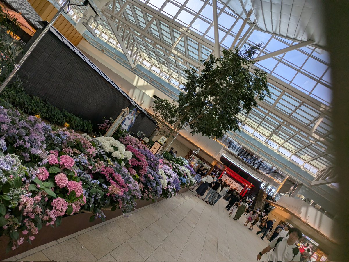 springpudding21's tweet image. おはようございます🌞
羽田空港の江戸舞台で、昨日と今日フライベントが開催されています☺🌺✨️🌈🎶　
休日は、歯医者の定期受診や買い物、色々用事を済ませつつ、忙しく１日が過ぎていきます。
皆さま今日もステキな１日を✨️