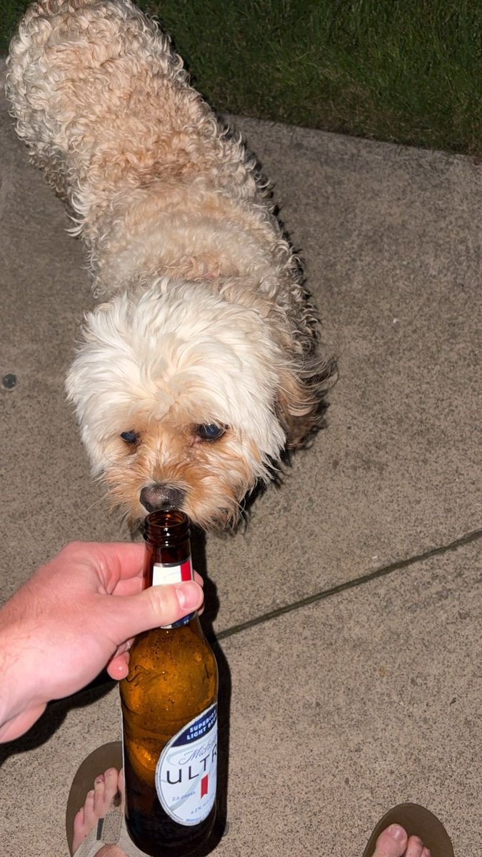 All my dawgs out tn, <a href="/NickPrayner/">Nick Prayner</a> know what I mean #ferda