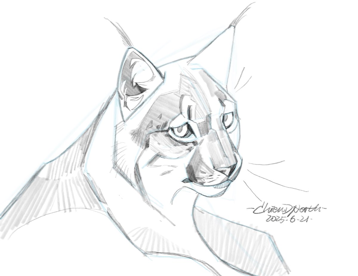 ChienDNorth's tweet image. #art