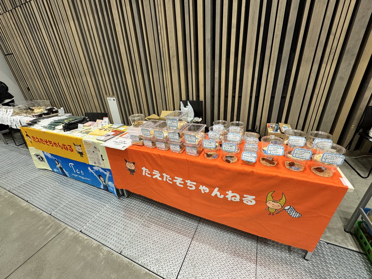 とってもお値打ち価格のチビたち！笑
まもなく会場です！お待ちしてます！