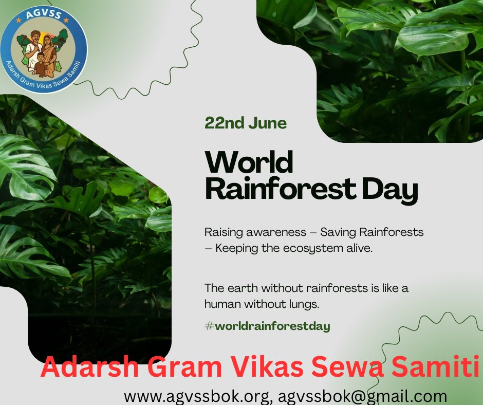 adarsh_sewa's tweet photo. World Rainforest Day — June 22 
“जब हम वर्षावनों की रक्षा करते हैं, तो हम अपने भविष्य की रक्षा करते हैं।”

आज World Rainforest Day के अवसर पर आइए हम सब मिलकर यह संकल्प लें कि:
🌱 हम अपने जंगलों को बचाएंगे
🌱 हरियाली को बढ़ाएंगे
🌱 स्थानीय समुदायों को सशक्त बनाएंगे https://t.co/wImHexAo3j