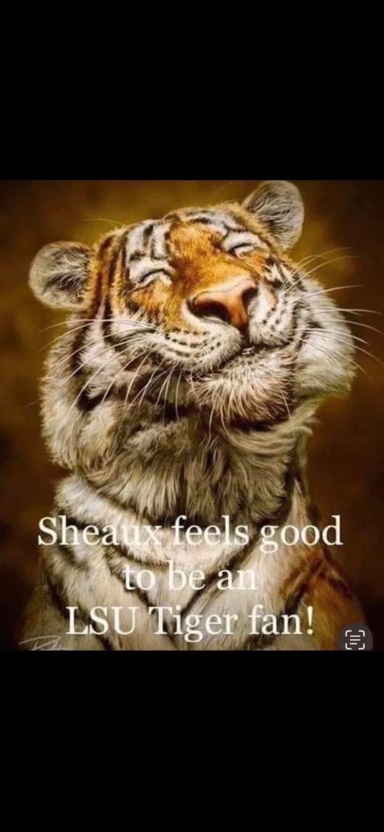 Feels so good being a Tiger!
💜💛💜💛
Geaux Tigers! 🐅
<a href="/DannyKliebert/">Danny Kliebert</a> <a href="/Riflemanscreed2/">CajunAsian</a> <a href="/jfpbear/">⚜️JERRI⚜️</a> <a href="/SwampCajun63/">Raised In Louisiana</a> <a href="/PoppaEarles/">Poppa Earle’s</a>