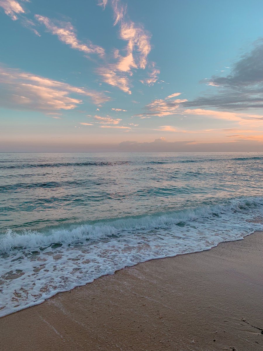 Aesthetics (@aestheticspost_) on Twitter photo Need Need
