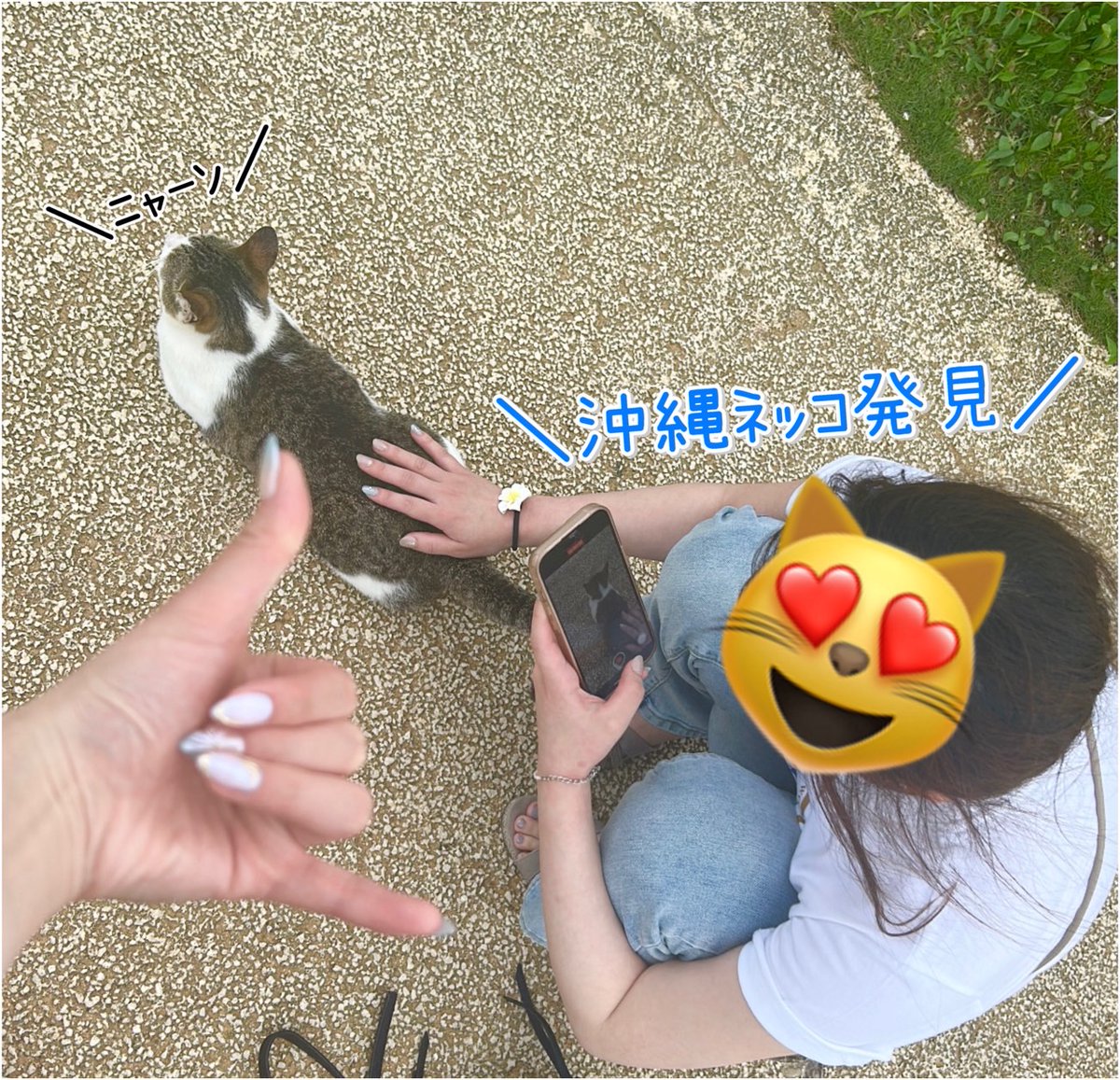 マルハン所沢店 tweet media