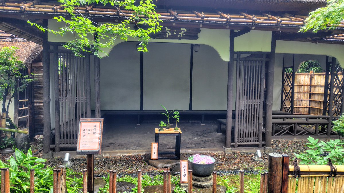 閑々亭 内 に、#苔玉 と #花手水鉢 を飾りました。花手水鉢は、季節に
