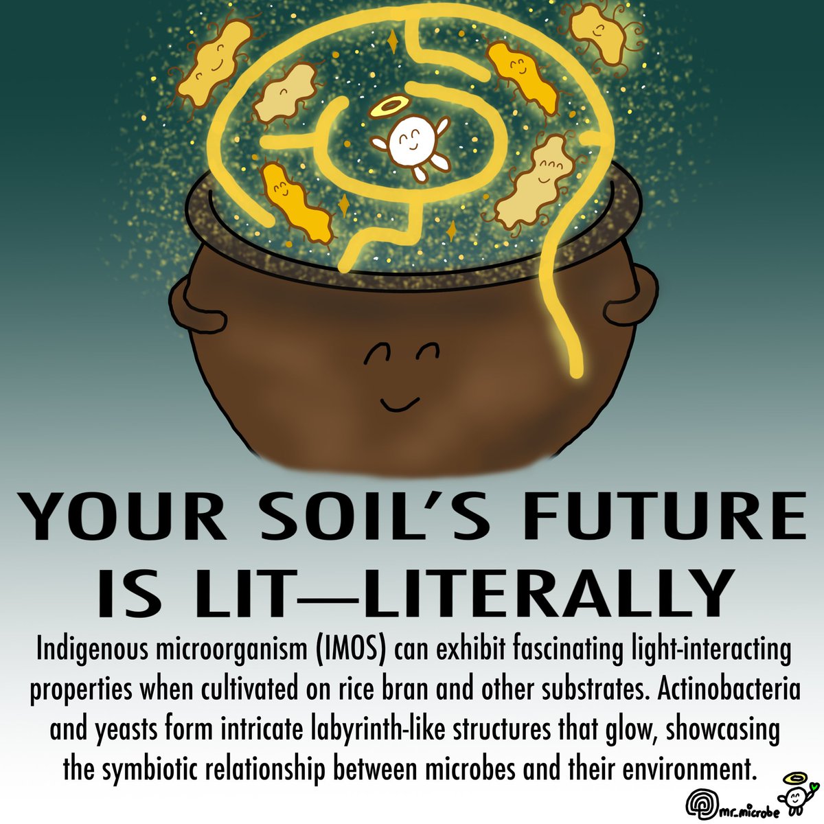 mrmicrobe44's tweet photo. Daily art challenge day #893, your soil is lit! ππ‘π₯
#IndigenousMicroorganisms #SoilScience #RegenerativeAgriculture #GlowInTheDark #MicrobialMagic #Actinobacteria #YeastPower #SoilHealth #SoilBiology #MicrobeLove #NutrientFlow #BiologicalArchitecture #MicrobeArt #nft #nfts https://t.co/RLGUa6Pxsd