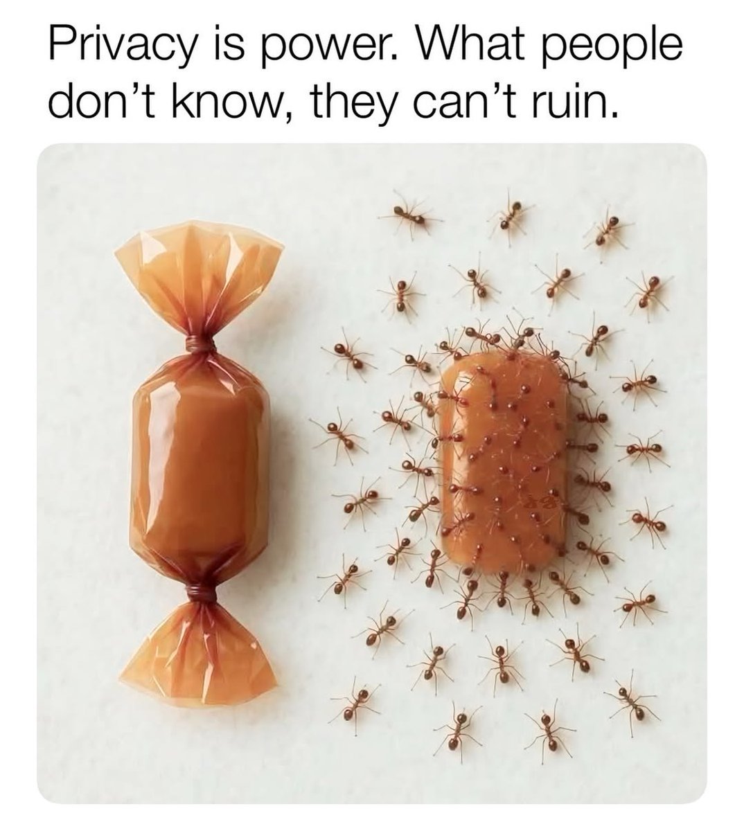 MITbP001's tweet image. 