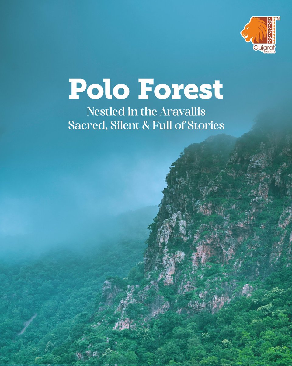 MITbP001's tweet image. 