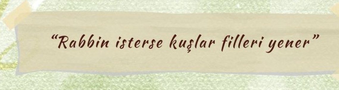 Monna Rosa (@ayaserenat) on Twitter photo 