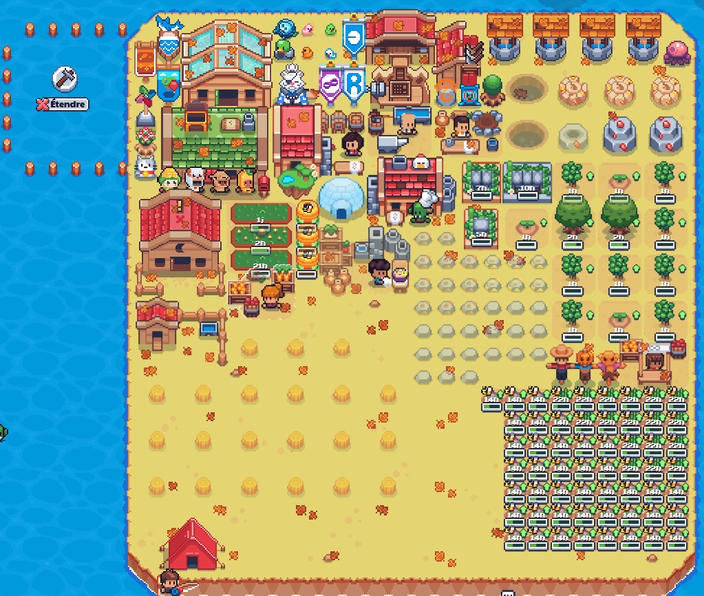 #SunflowerLandFarm
