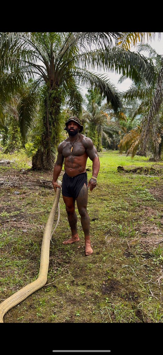 mike holston tweet media