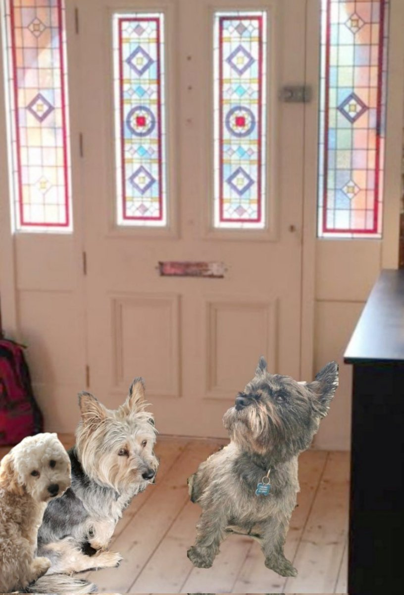 Norman Dillon🌈BovverBoy (@norman_dillon1) on Twitter photo Bestie, we're gonna have to sit here and wait for the newspaper! If our Muvver's see it, we're gonna be in trouble!!
#BovverBoys <a href="/jennystape/">JACK BovverBoy</a> #BovverBoysForever <a href="/CollieMoxie/">ᴹⁱˢˢ ᴹᵒˣⁱᵉ (ᵀʷⁱᵍᵍʸ ⁱˢ ᶠⁱⁿᵉ)</a> #BreakingNews #yellowstonepark #InTroubleAgain #DontLookMuvver
#ThisWontEndWell Bestie, we're gonna have to sit here and wait for the newspaper! If our Muvver's see it, we're gonna be in trouble!!
#BovverBoys <a href="/jennystape/">JACK BovverBoy</a> #BovverBoysForever <a href="/CollieMoxie/">ᴹⁱˢˢ ᴹᵒˣⁱᵉ (ᵀʷⁱᵍᵍʸ ⁱˢ ᶠⁱⁿᵉ)</a> #BreakingNews #yellowstonepark #InTroubleAgain #DontLookMuvver
#ThisWontEndWell