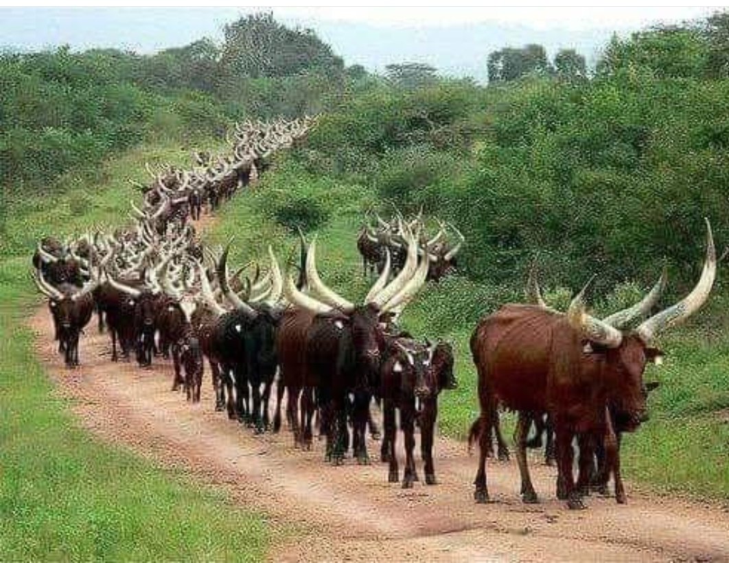 Jo_Diass's tweet photo. #GuerraMundial 
Meus amigos indo pra terceira Guerra armado até a cabeça! https://t.co/xMtCJT5YVV