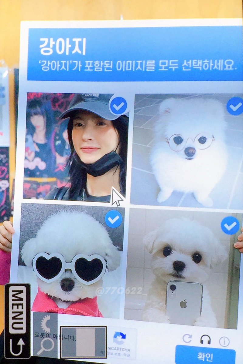 김이불 tweet media