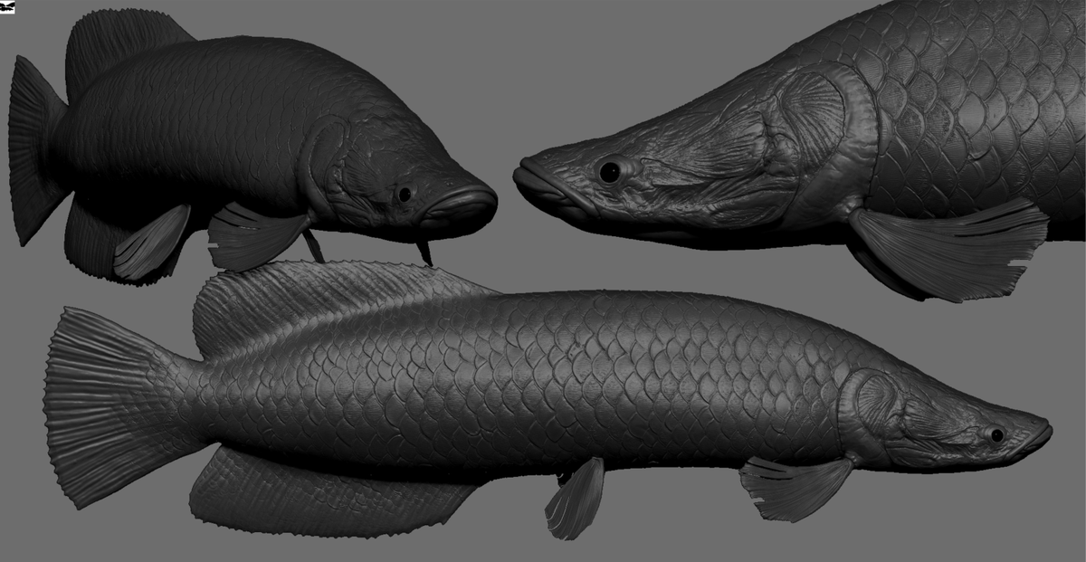 GinoKolling's tweet photo. Animal ZBrush studies https://t.co/7bYMujzaio