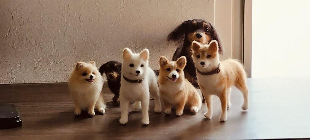 ポメちゃんとコーギーさん
今夜までヤフオク出品しています🐾
次は柴犬のご夫婦を制作しています（未完）
#羊毛フェルト　#コーギー　#ポメラニアン　#柴犬