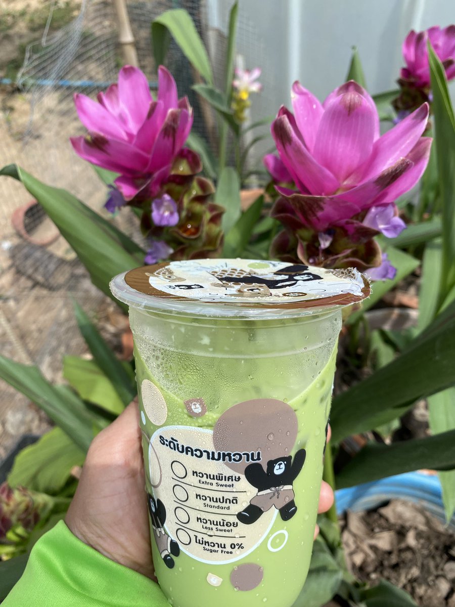 เมื่อพระเจ้าทำเราหิวไข่มุกจึงต้องแว๊นไป ร้านค้าไกล 20กิโล #เมื่อพระเจ้าหลงรัก