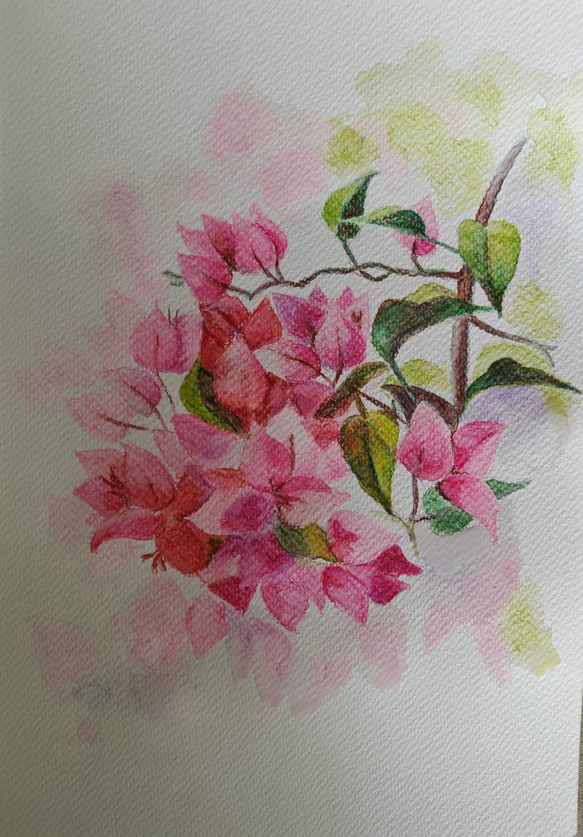 Rupa Gandhi tweet media