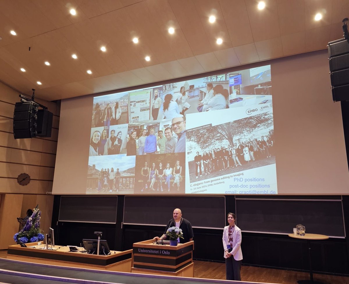 Georgia Rapti tweet media