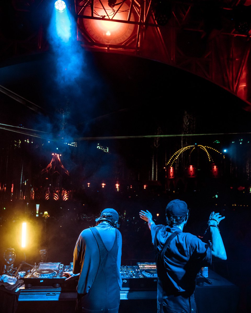 Electric Forest ⚡🌲 tweet media