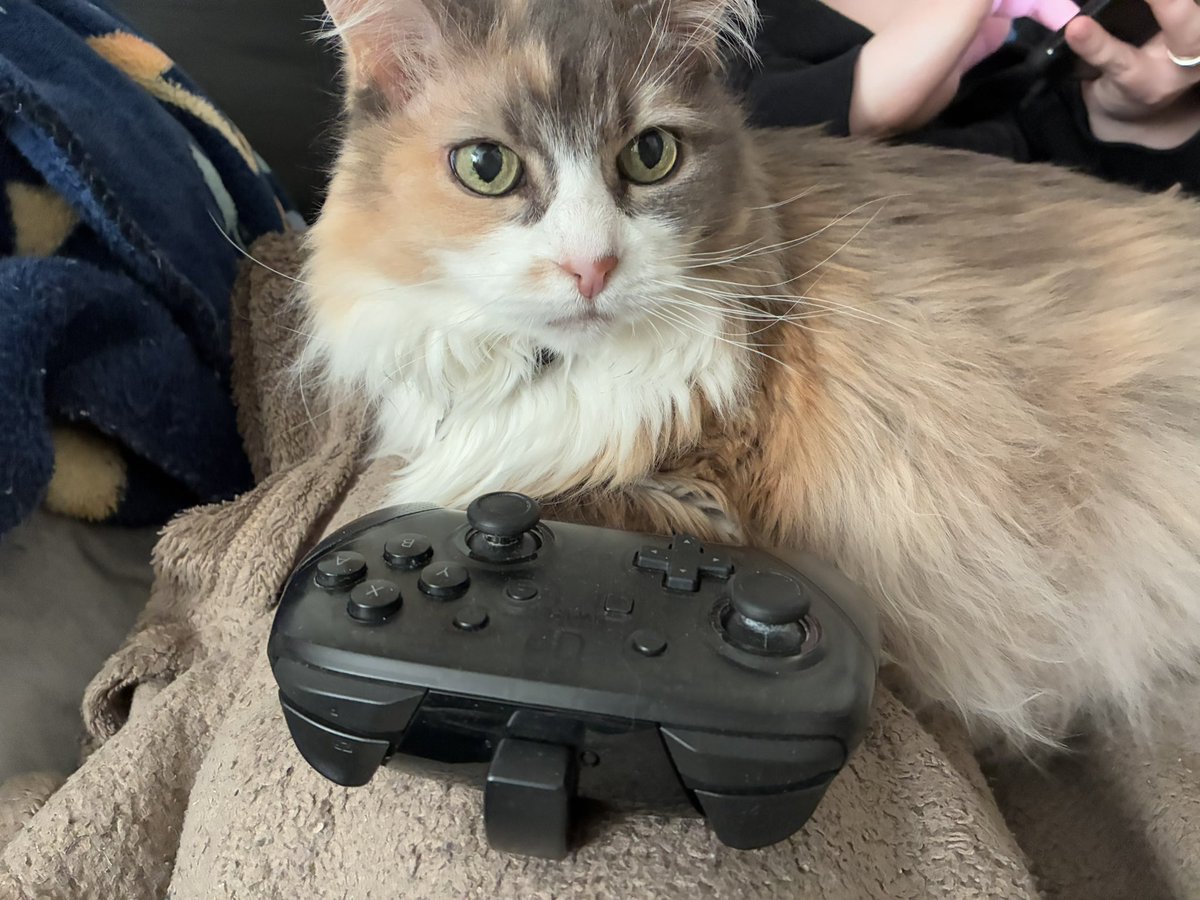 Rockhart /// Andrew tweet media