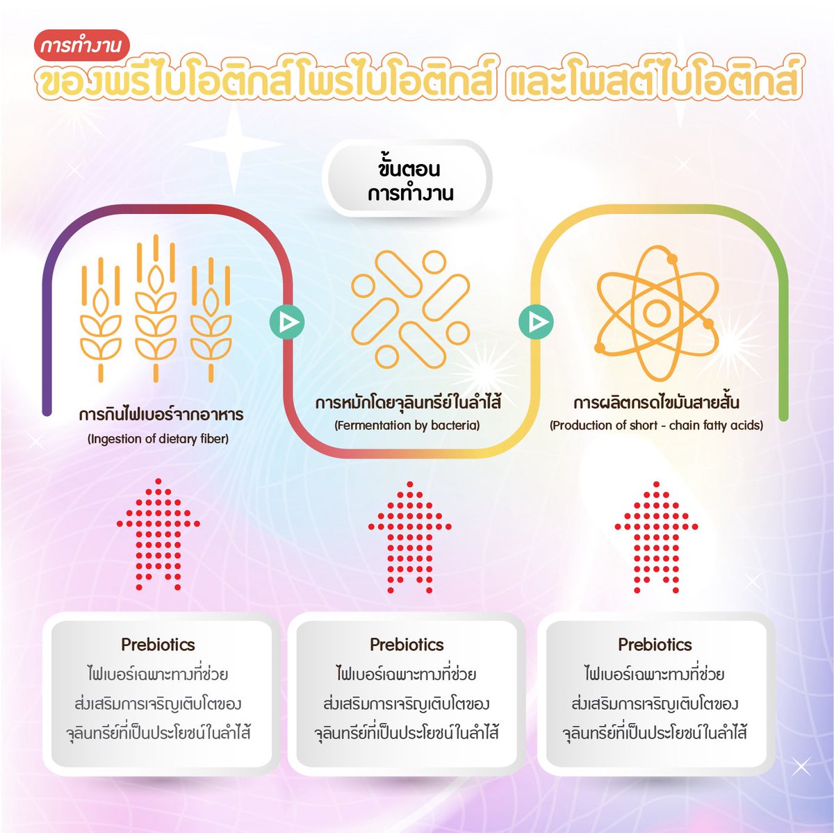 Flowfix Thailand tweet media