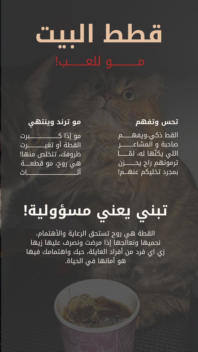 it_z01's tweet photo. أول مره اصمم بكانفا بعد ماكنت اول معارضه له 🫣 https://t.co/qFpZUbcBMV