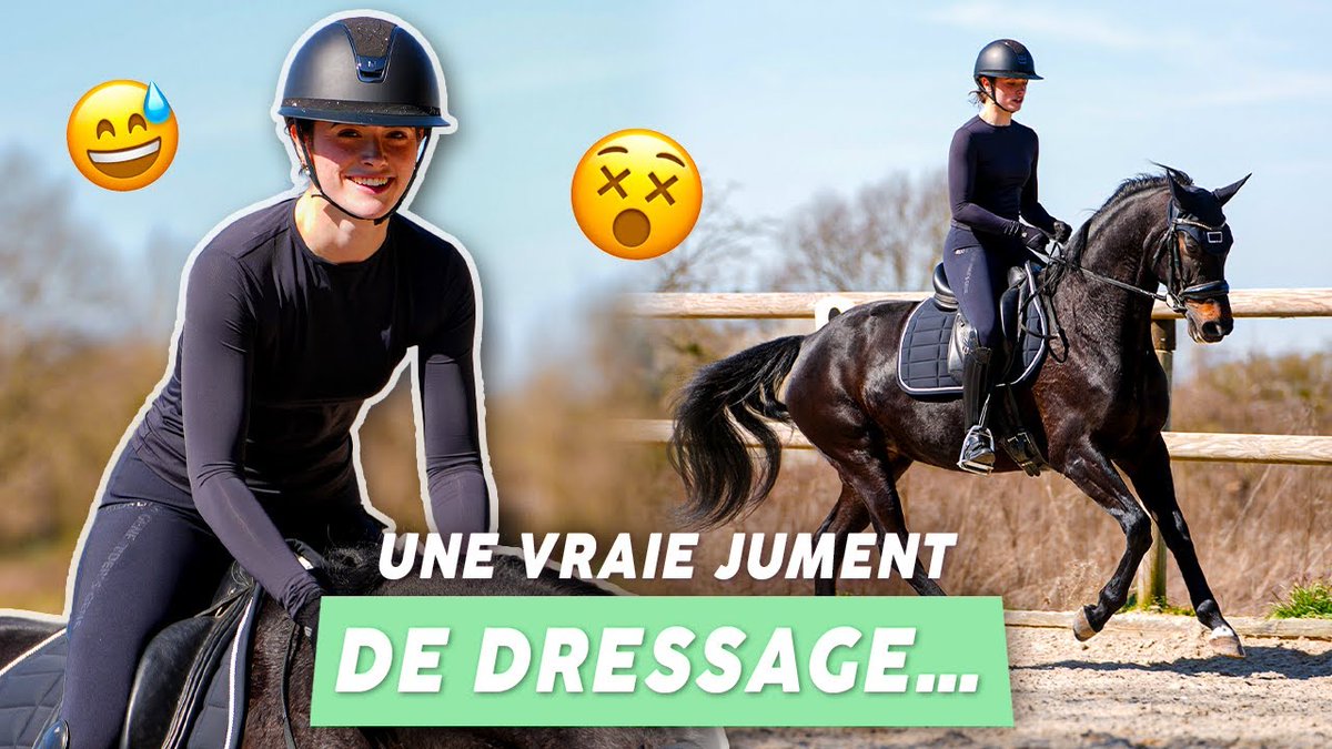 Calendr_App's tweet photo. DIMANCHE 22/06 ➡️DEMANDEZ LE PROGRAMME 🍿
10 EVENTS #YouTube #Twitch 🔥
ABONNE TOI POUR RIEN RATER🧞♀️🧠 🧞♂️
🔝#Ferrari🔝#Legend🔝#MisterMV🔝#Biaggi
🔝#AlphaCast🔝#Ufotinik✨
✨ RT = SOUTIEN 🙏❤️
1️⃣09h15▶️@Ferrari Challenge – Course 2 🏁
✅Deuxième course du week-end sur le circuit de Fuji. Suivez les pilotes en action dans ce championnat où chaque erreur coûte cher.
👉https://t.co/keR1erPrqF
2️⃣11h00▶️LEGEND – Relation, couple & addictions
#ChainePartenaire #InfluxCrew
✅La sexologue Thérèse est l’invitée de @guillaumepley pour parler du couple, de l’infidélité, des dépendances liées au sexe et de ce qu’on ne dit pas toujours dans les relations sur @legendmediafr .
👉https://t.co/Q280QzCjVJ
3️⃣15h00▶️Age of Mythology – Épisode 30 🎮
✅On continue la campagne sur Age of Mythology avec @AurelienMiannay. Il y a encore beaucoup à faire et les dieux ne sont pas toujours de bonne humeur.
👉https://t.co/UGYL223EYf
4️⃣16h30▶️Dressage commenté 🐎
✅@mathildeetsligo partage une séance de dressage avec les commentaires de son coach. C’est technique, parfois un peu chaotique, mais toujours instructif.
👉https://t.co/5twbOIaKGO
5️⃣17h00▶️Se libérer de ses schémas familiaux ?
✅L’écrivain Thibault de Montaigu raconte son histoire familiale et comment il a appris à se détacher de certains modèles hérités.
👉https://t.co/jgvmQJY4cs
6️⃣19h00▶️AEGIS – Étape 5 (Street Fighter) 🥊
✅Dernière étape avant la grande finale du tournoi Street Fighter. Seuls les 8 meilleurs seront qualifiés. Avec @mistermv en direct.
👉https://t.co/zbaKBWEBOI
7️⃣20h00▶️Biaggi Book Club – Le retour 📚
✅Le Biaggi Book Club revient ce soir en live avec @maximebiaggi. Des livres, des réflexions, des vannes… l’ambiance est toujours au rendez-vous.
👉https://t.co/CvmL1PM1m1
8️⃣20h00▶️Arrakis en live avec AlphaCast 🌌
✅Le grand baja d’Arrakis commence ! Un live aux allures de fiction, mené par @AlphaCastFR dans un univers désertique à découvrir en direct.
👉https://t.co/l6MtfCkuvc
9️⃣20h00▶️Geek2Geek avec Ivractus 🎤
✅Nouveau numéro de Geek2Geek avec Ivractus et @GeekFabula . On parle de culture geek, de jeux, de débats sans prise de tête.
👉https://t.co/7ZxfuGZKRL
🔟22h50▶️Lancement SpaceX – Transporter 14 🚀
✅La fusée Falcon 9 de SpaceX s’apprête à mettre en orbite 70 satellites pour la mission Transporter-14. Retransmission en direct avec @ufotinik.
👉https://t.co/KjmK0wxupB
Et pour demain, quels EVENTS ?
DIS-NOUS EN COMMENTAIRE
DM pour figurer dans nos prochaines éditions...📪.
Personne n'aime autant les créateurs que nous ! ❤️
🧞♀️🧞🧞♂️
Ensemble on va faire le meilleur programme
🗓️🙏🏻✨