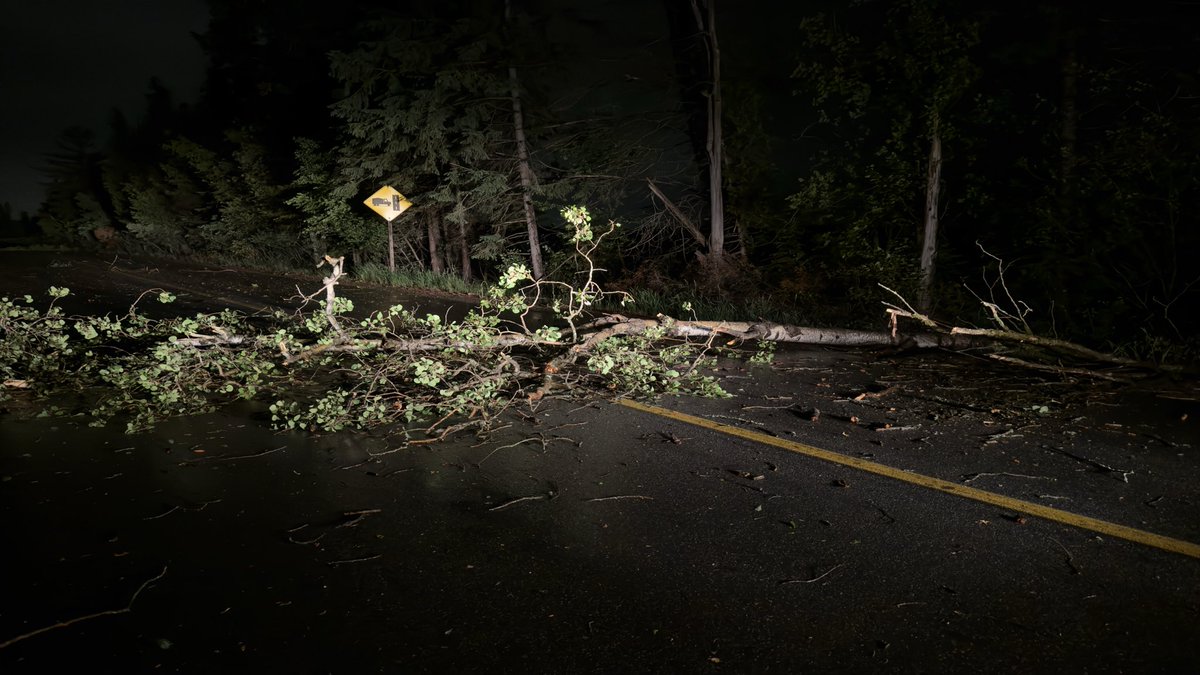 Trees down on Rothbourne Road in Stittsville.  #onstorm #onwx